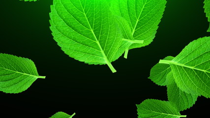 Falling large green leaves, 3D rendering. Computer generated beautiful abstract background