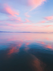 Tender pink sunset at the sea, pink flower reflection on the sea
