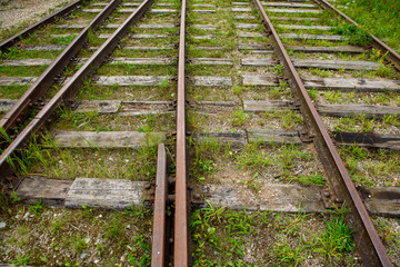Old abandoned train rails with green grass