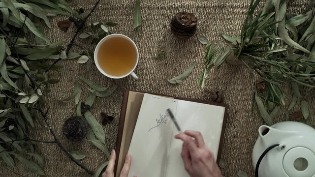 Flatlay with a wicker mat, dry plants, a notebook and a cup of coffee. Close-up of female hands drawing in a notebook. Cup of coffee. Flatlay. Natural colors. Dry flowers. Eco-friendly aesthetics.