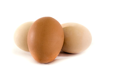 chicken eggs on a white background. Close-up.