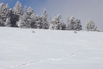 Heavy Snow in the Rockies