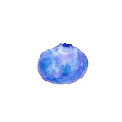 purple blueberry on a white background, can be used to design menus, invitations and cards