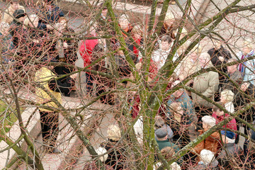 Riga, December, 2007, Leafless tree with people in background