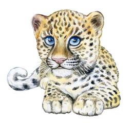 Little leopard cub with blue eyes. Portrait of a child, a baby isolated on a white background. Watercolor. Illustration. Template. Hand drawing. for nursery posters