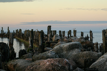 Engure, June, 2008, Old rustic pier with birds sitting on it