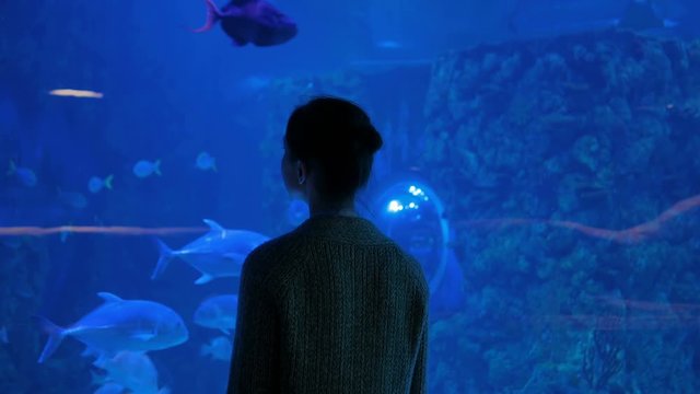 Woman silhouette looking at fish in large public panoramic aquarium tank at oceanarium. Blue low light illumination - back view. Tourism, education, underwater life and entertainment concept