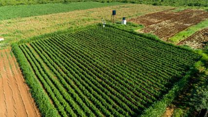 Aerial view of endless lush pastures and farmlands of morogoro town, Tanzania