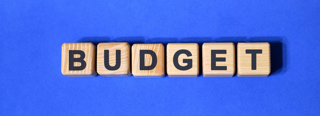 Budget text on wooden cubes. Business concept