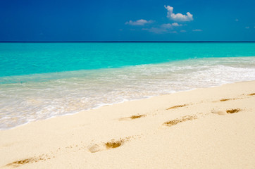 Fototapeta na wymiar Tropical white sand beach, turquoise water and blue sky.