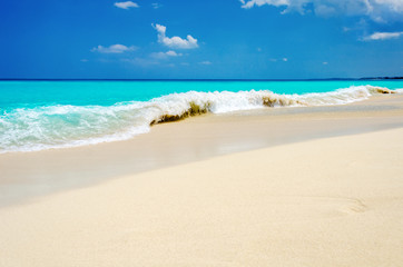 Tropical white sand beach, turquoise water and blue sky.