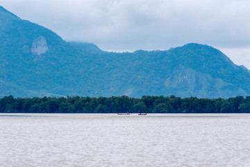 Mangrove photographed in Vitoria, Espirito Santo. Southeast of Brazil. Atlantic Forest Biome. Picture made in 2016.