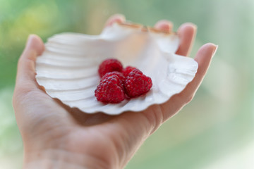 hand holding handful of raspberries lies in a mother of pearl plate in the form of a shell