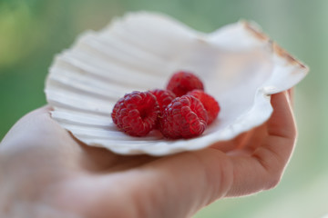 hand holding handful of raspberries lies in a mother of pearl plate in the form of a shell