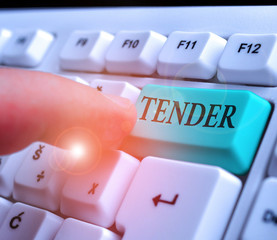 Handwriting text Tender. Conceptual photo showing gentleness kindness and affection sensitive to...