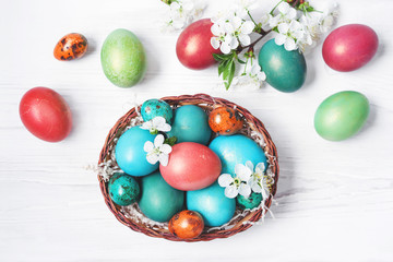 Bright multi-colored Easter eggs in a basket and spring flowers on a white wooden surface, top view. Easter background. 	