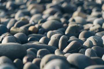 Obraz premium Smooth Round Pebble; Natura Background. Textures