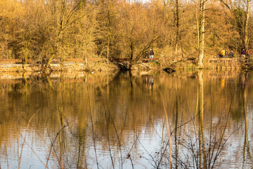 Obraz premium calm autumn lake with brown trees around