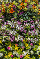 Multicolored flowers and petals background used for decoration and cards