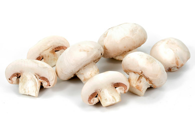 Fototapeta na wymiar sliced white mushrooms on a white background