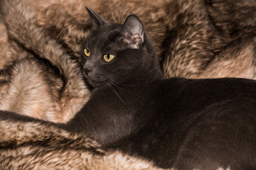 Kleine Mia ruht sich aus.