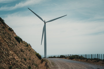 Landscape With Wind Turbine farm in Wellington