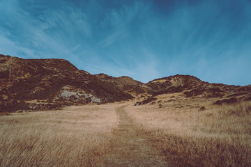 Landscape of Beach in Wellington, New Zealand;