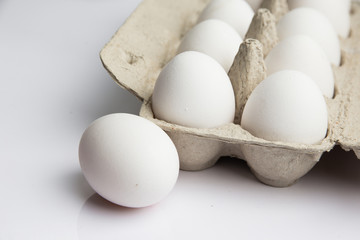 white chicken eggs on a white background