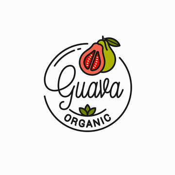 Guava Fruit Logo. Round Linear Of Guava Slice