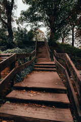 Obraz premium Brown Park Stairs