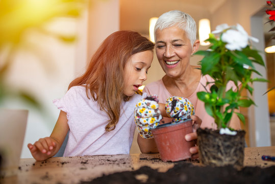 Granddaughter and grandmother looking at flowers at home looking happy and smiling. Gardening with kids. Grandmother and her granddaughter enjoying in the home garden