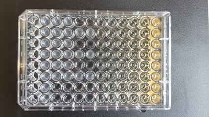 Microtiter plate used for antibiotic assay