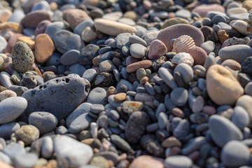 pea beach Anomaly