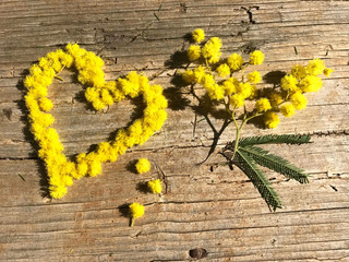 Women's day flowers