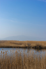 Marjal dels Moros with background Sierra Calderona