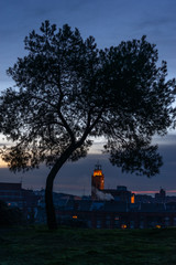 under the tree Colegiata de San Antol&iacute;n Castilla Leon, valladolid, Spain