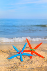 Funny starfishes at the beach