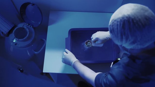 Specialist Embryologist Takes a capsule With Embryos from the Cryobank