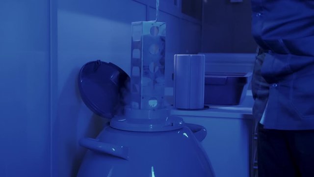 Specialist Embryologist Takes a capsule With Embryos from the Cryobank