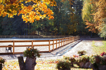 Empty horse riding outdoor arena in autumn season © AnnaElizabeth