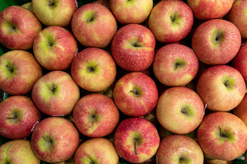 Basket with fresh ripe green apple fruits on sale in grocery food store.Supermarket shop,natural foods department.Eat vitamines