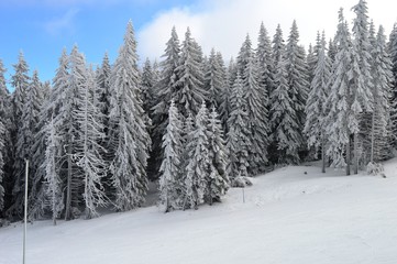 mountain landscape in winter on snow