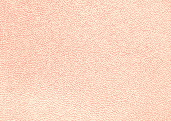 Fototapeta premium The texture of genuine leather. Pink background.