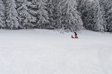 Skiers on the track in the snow
