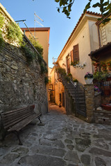 A narrow street between the old houses of a medieval village