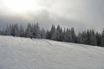 Fototapeta na wymiar Skiers on the track in the snow
