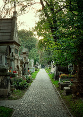 Pathway on an old cemetery - obrazy, fototapety, plakaty