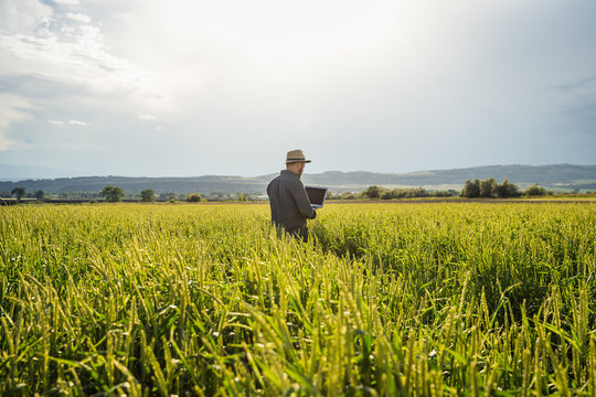 Farmer in field of grass, inspecting crops with laptop. Bridger, Montana, USA