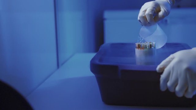 Specialist Embryologist Takes a capsule With Embryos from the Cryobank