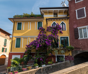 Fototapeta na wymiar Typisches Italiniesches Haus in bunten Farben und Pflanzen.